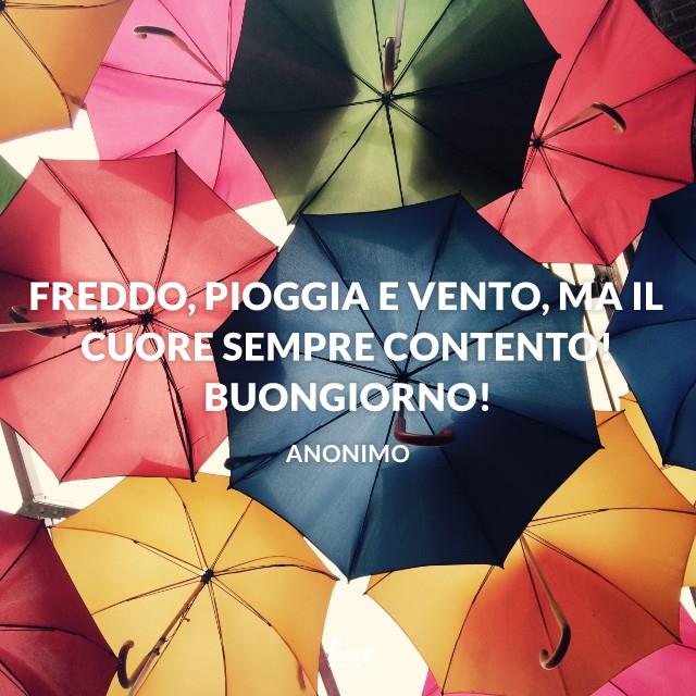 Buongiorno a tutti Freddo, pioggia e vento, ma il cuore sempre contento! Buongiorno!