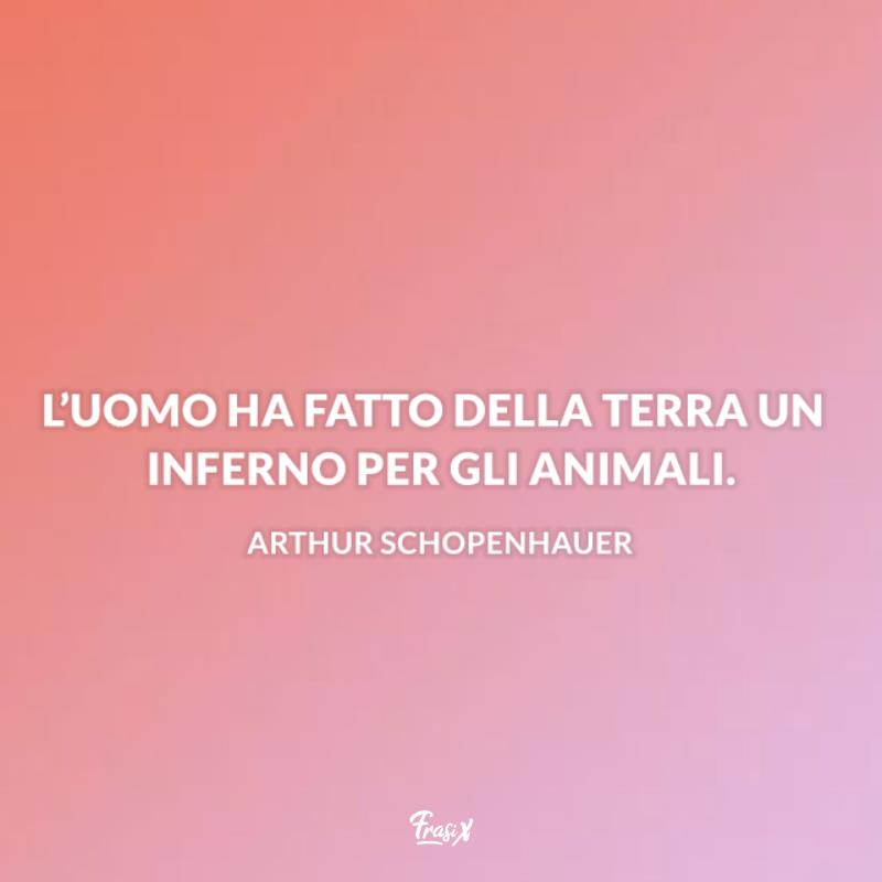 Aforismi sugli animali schopenhuer Immagine con frase schopenhuer per aforismi sugli animali