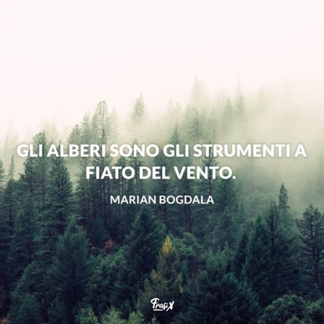 Frasi Sul Vento Le Piu Belle E Originali