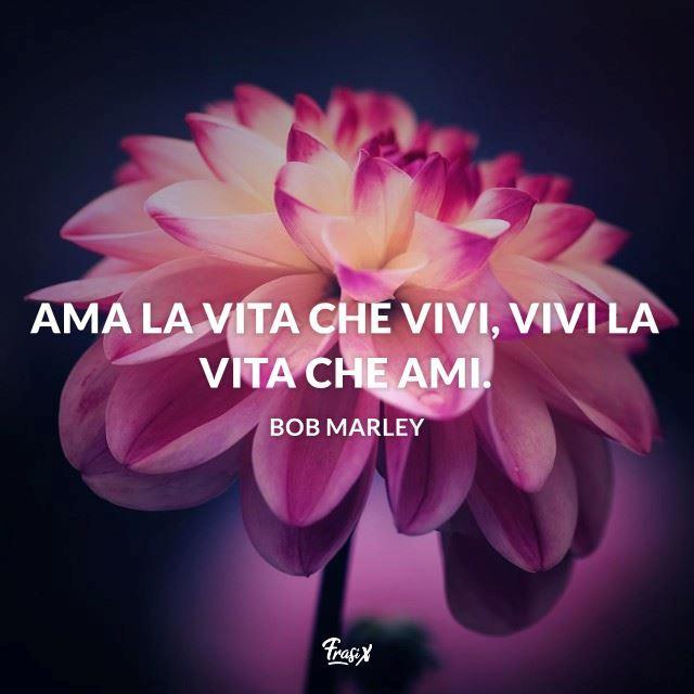 Stati Whatsapp sulla vita Ama la vita che vivi, vivi la vita che ami.