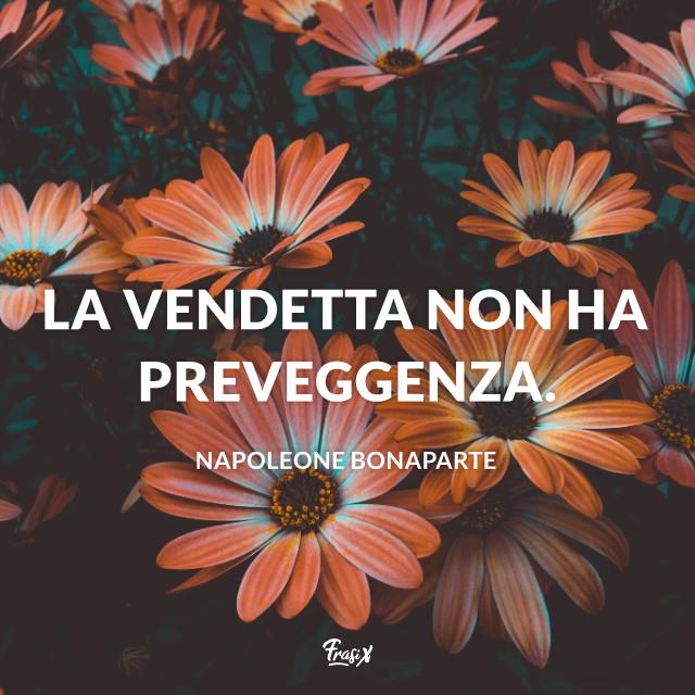 Frasi e aforismi sulle vendetta napoleone Immagine con citazione napoleone La vendetta non ha preveggenza.