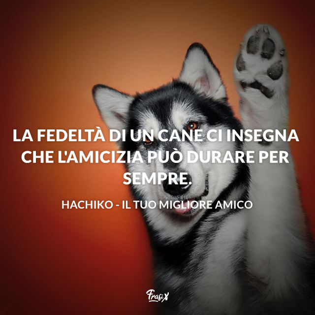 Frasi Sui Cani