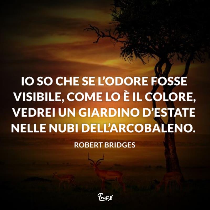 Frasi sull'arcobaleno bridges Savana al tramonto