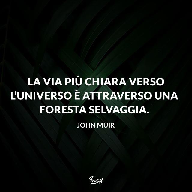 Frase sull'universo Immagine con frase sull'universo