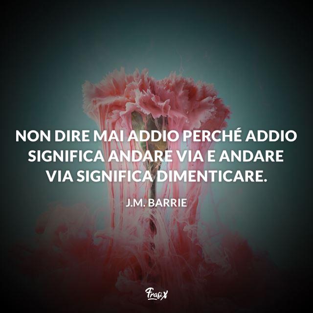 Frasi instagram barrie Non dire mai addio perché addio significa andare via e andare via significa dimenticare.