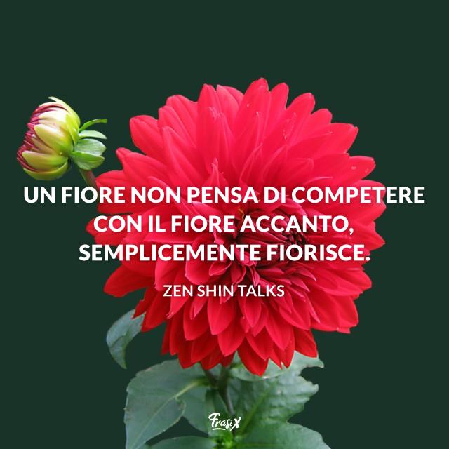 Frasi sui fiori Un fiore non pensa di competere con il fiore accanto, semplicemente fiorisce.