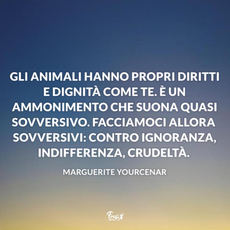 Aforismi sugli animali marguerite Immagine con citazione marguerite per aforismi sugli animali