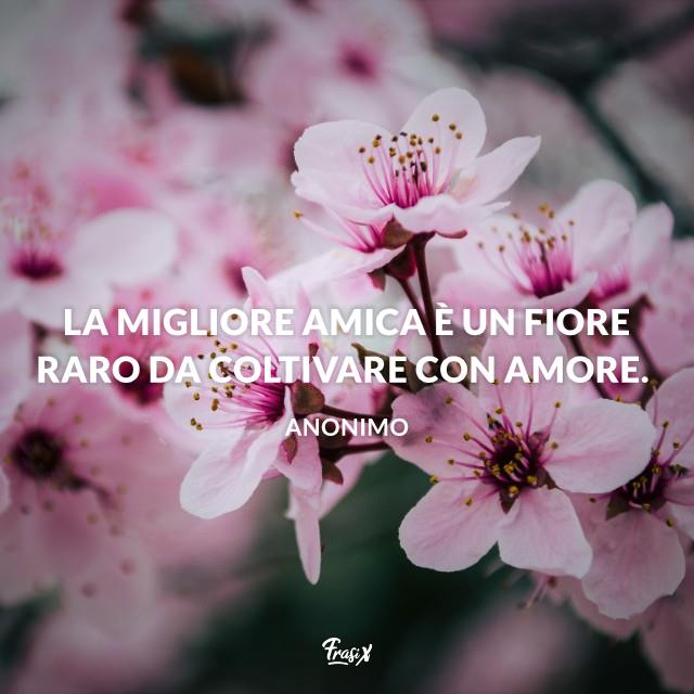 Frasi da dedicare alla migliore amica anonimo La migliore amica è un fiore raro da coltivare con amore