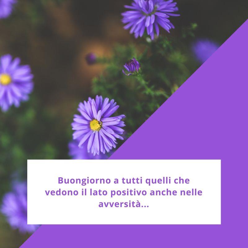Buongiorno a tutti Buongiorno a tutti quelli che vedono il lato positivo anche nelle avversità.