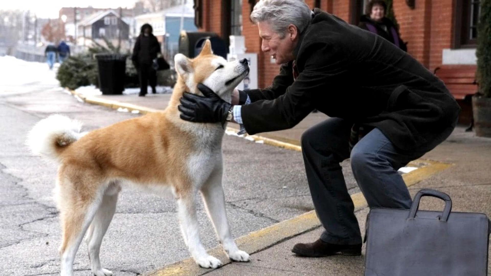 film hachiko il tuo migliore amico scarica