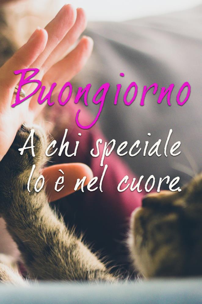 Un Buongiorno Speciale Con Frasi E Immagini Da Condividere Sui Social