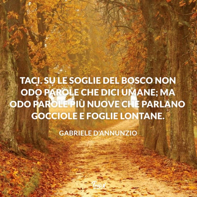 Frasi sul silenzio del bosco D'Annunzio Immagine con citazione D'Annunzio per frasi sul silenzio del bosco