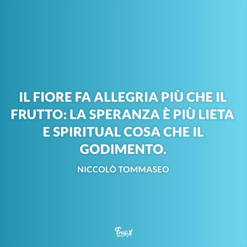 Frasi sulla speranza tommaseo Il fiore fa allegria più che il frutto: la speranza è più lieta e spiritual cosa che il godimento.