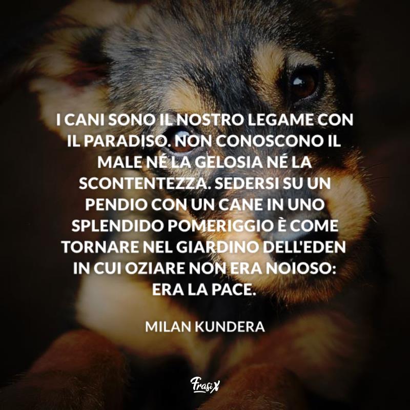 Aforismi sugli animali cane kundera Immagine con frase kundera per aforismi sugli animali cane