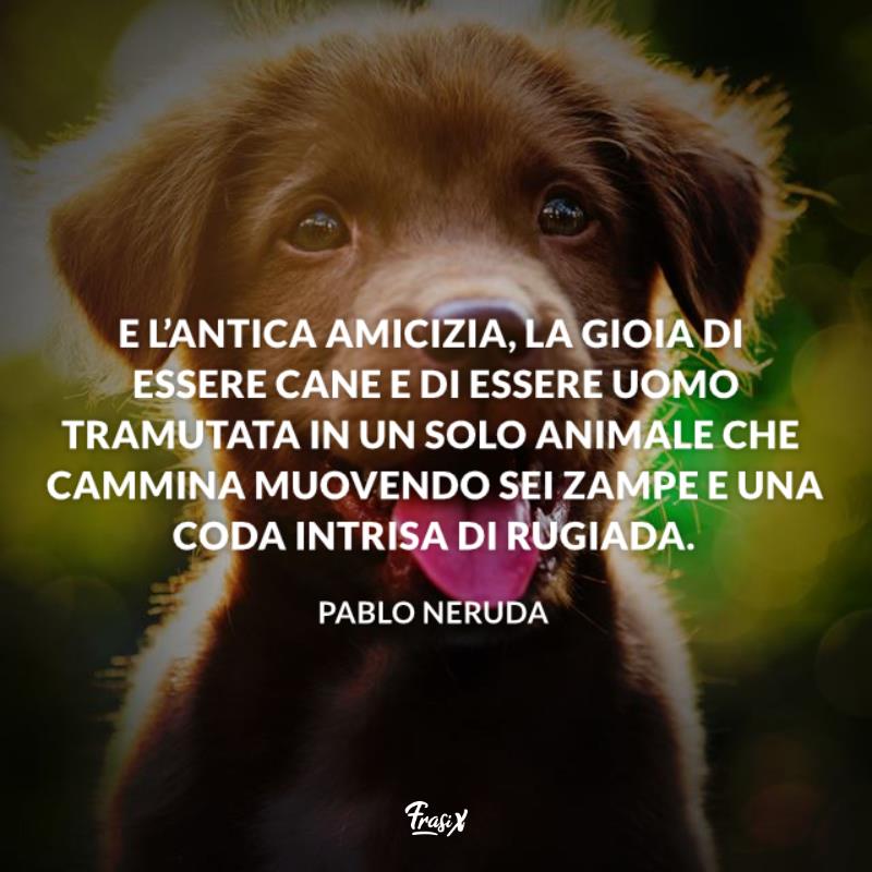 Aforismi sugli animali cane neruda Immagine con citazione neruda per aforismi sugli animali cane