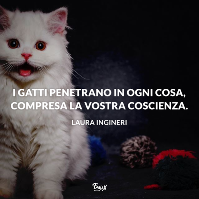 Frasi Sui Gatti