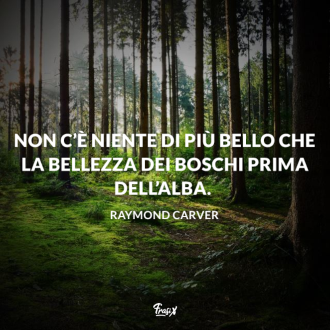 Frasi sul silenzio: le 20 più belle e profonde di sempre