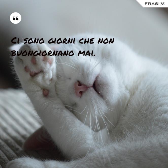 100 Frasi Per Augurare Buon Lunedi