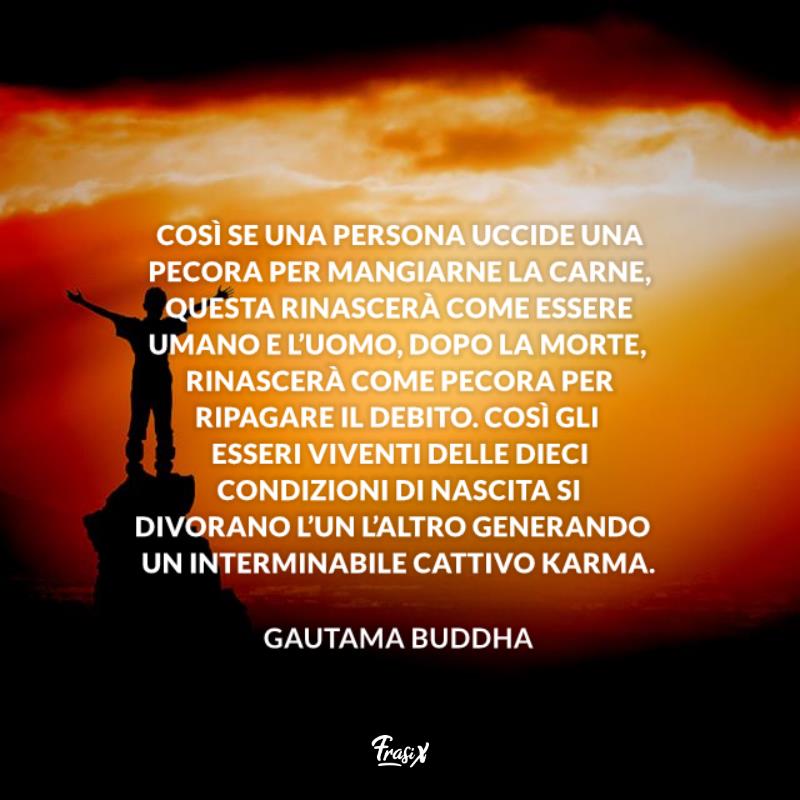 Frasi sul karma buddha Così se una persona uccide una pecora per mangiarne la carne, questa rinascerà come essere umano e l’uomo, dopo la morte, rinascerà come pecora per ripagare il debito. Così gli esseri viventi delle dieci condizioni di nascita si divorano l’un l’altro generando un interminabile cattivo karma.