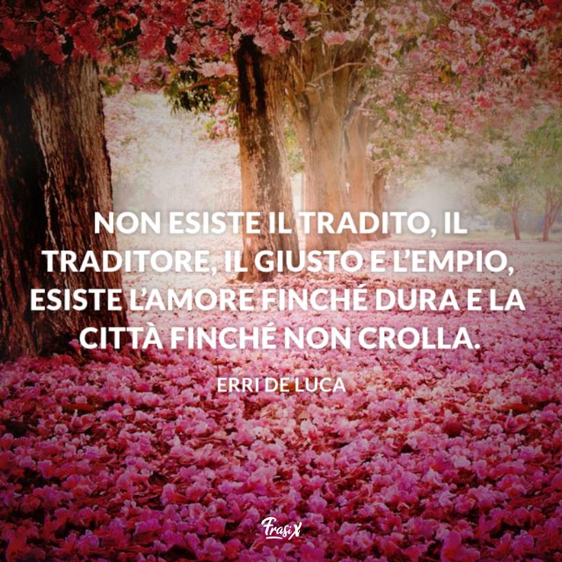 Frasi tradimento de luca Bosco ricoperto da petali di ciliegio