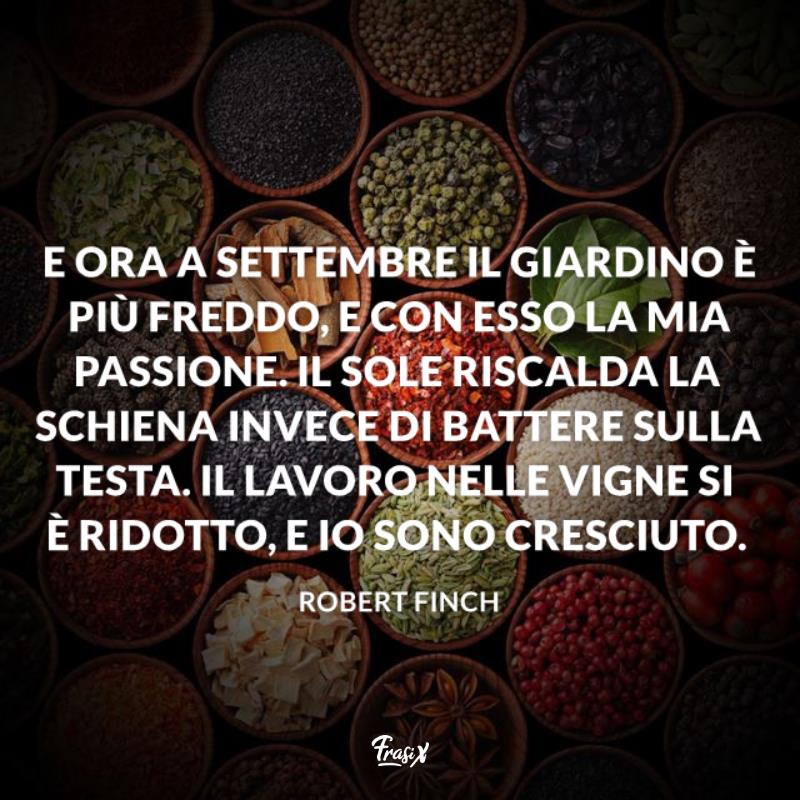 Frasi su settembre finch Ciotole con vari tipi di semi