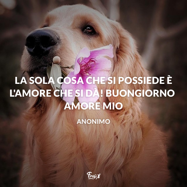 27 Frasi E Immagini Per Dire Buongiorno Amore Mio