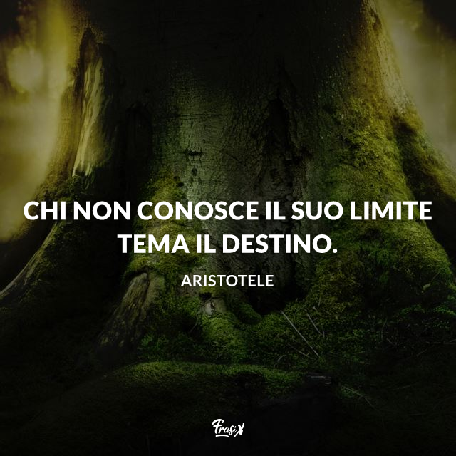 Aristotele 40 Frasi Celebri