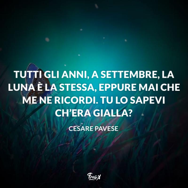 Frasi su settembre pavese Prato di notte con una farfalla tra i fili d'erba