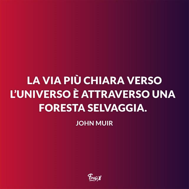 Frasi sulla foresta La via più chiara verso l'universo è attraverso una foresta selvaggia