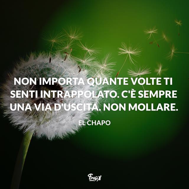 Frasi di El Chapo Non importa quante volte ti senti intrappolato. C'è sempre una via d'uscita. Non mollare.