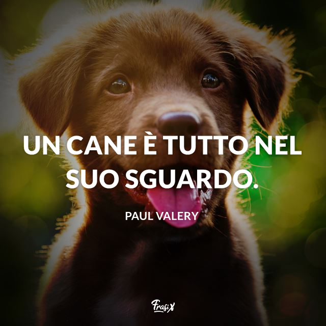 Frasi Sui Cani