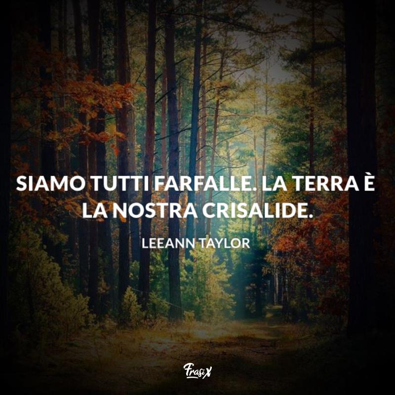 Frasi sulla terra taylor Immagine con citazione taylor per frasi sulla terra