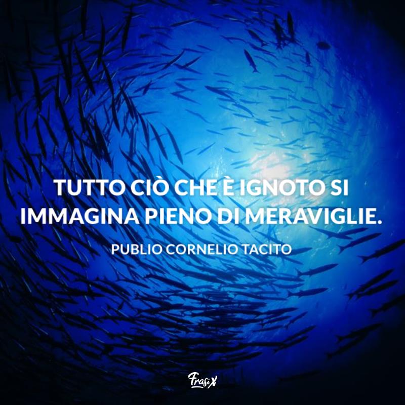 Frasi sullo stupore tacito Pesci in mare