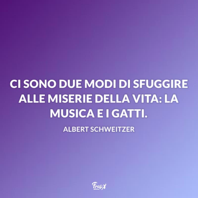 Aforismi celebri sugli animali Albert Immagine con frase Albert per aforismi celebri sugli animali