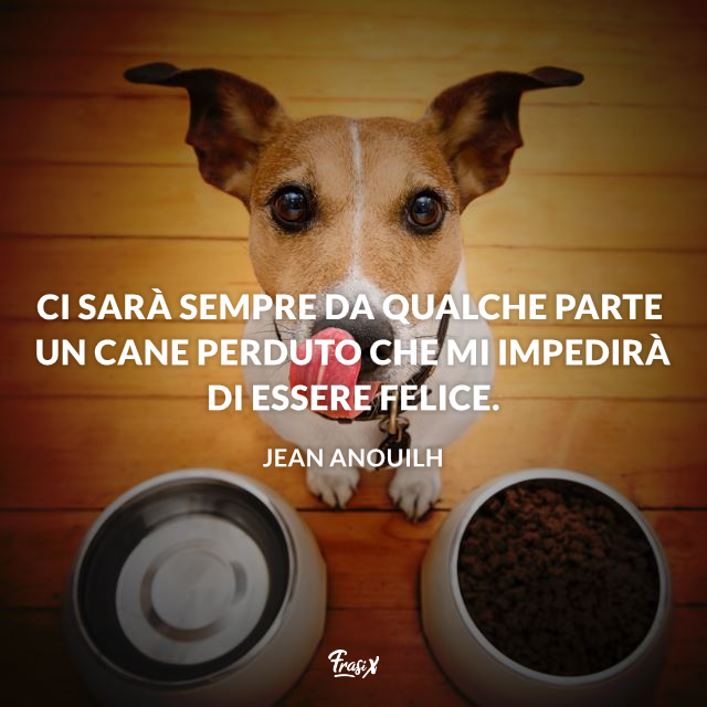 Le Frasi E Le Immagini Migliori Sui Cani