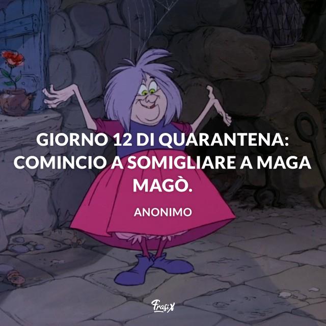 Frasi Quarantena Giorno 12 di quarantena: comincio a somigliare a Maga Magò.