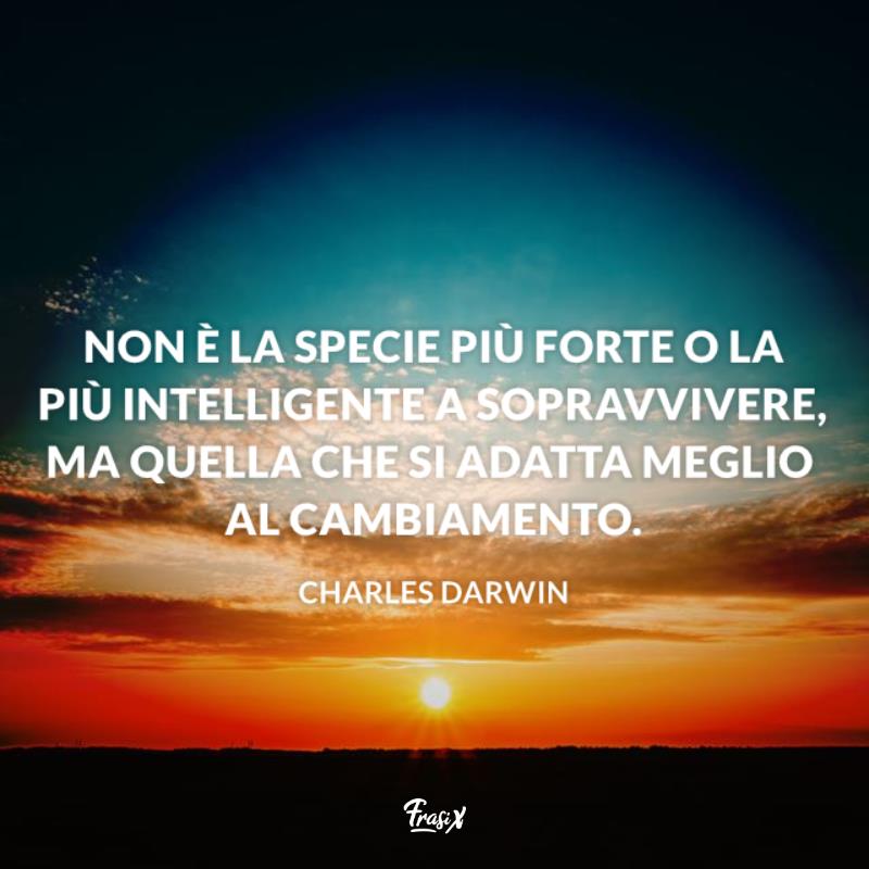 Frasi Sulla Vita Nuova Frasi Sulla Vita