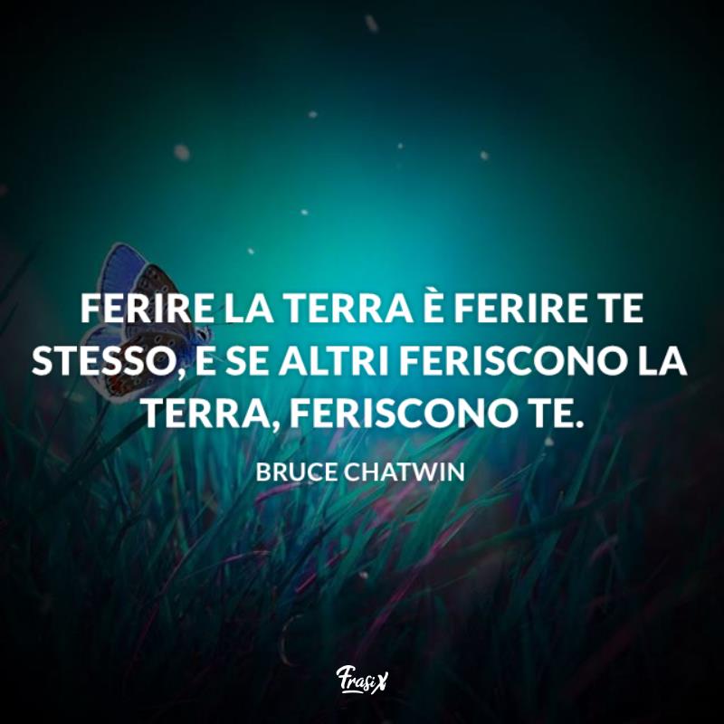 Frasi sulla terra bruce Immagine con citazione bruce per frasi sulla terra