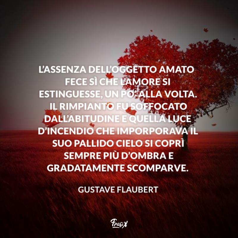Frasi sulla distanza belle Flaubert Immagine con citazione Flaubert per frasi sulla distanza belle