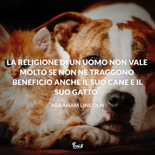 Frasi Sui Gatti