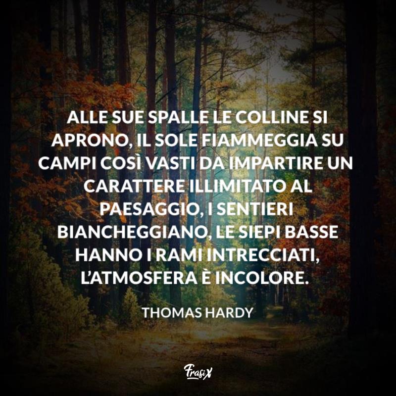 Frasi sull'infinito paesaggio hardy Immagine con citazione hardy per frasi sull'infinito paesaggio