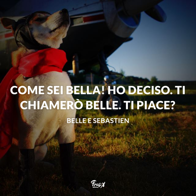 Frasi Sui Cani