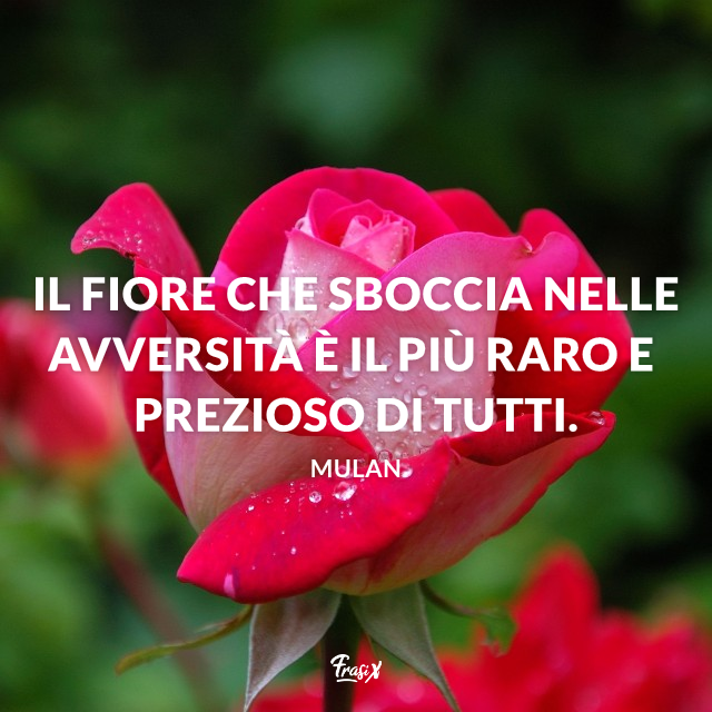 Frasi Fiori 45 Citazioni Celebri Che Celebrano La Primavera