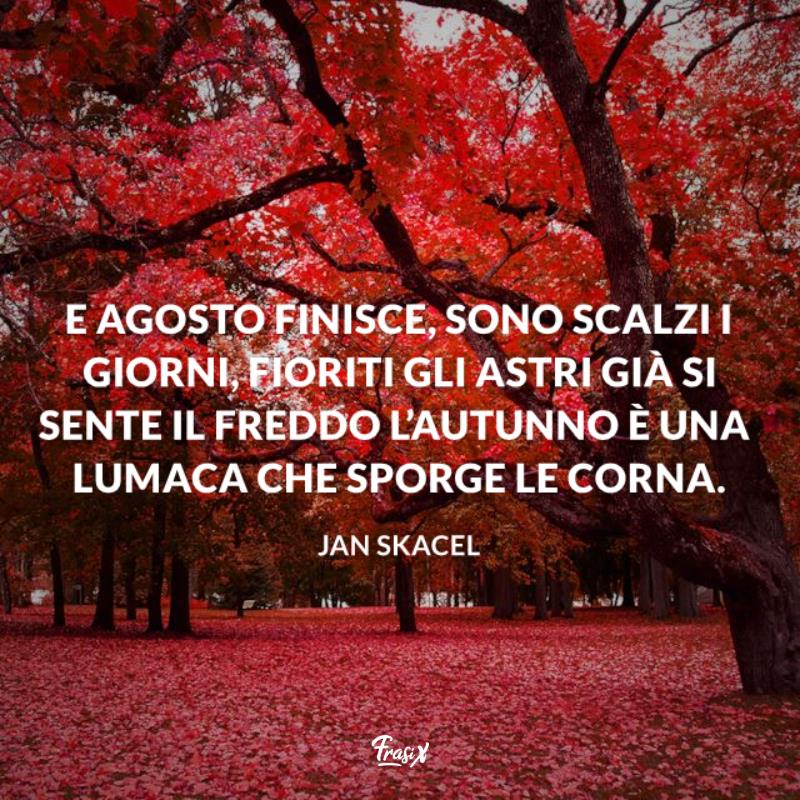 Frasi su settembre jan Bosco con il terreno ricoperto di foglie