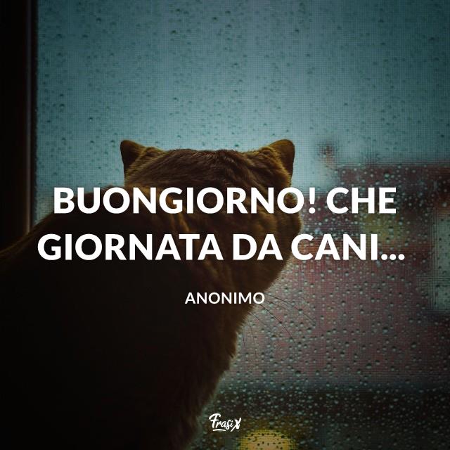 Immagini divertenti buongiorno con la pioggia Buongiorno! Che giornata da cani...