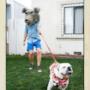 DogAddict al COOL HUNTER Italy