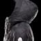 Moncler Altier dettaglio