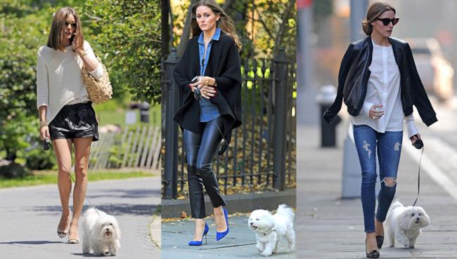 10 outfit per portare fuori il cane con stile come Olivia Palermo