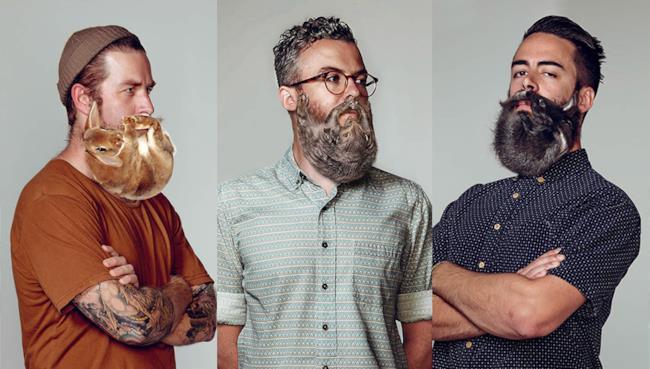 La nuova pubblicità della Schick con i roditori al posto della barba La pubblicità di Schick usa dei roditori al posto della barba