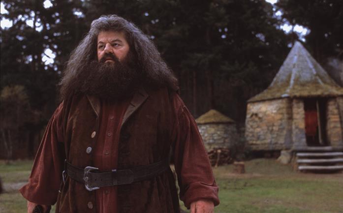 Robbie Coltrane Robbie Coltrane in Harry Potter